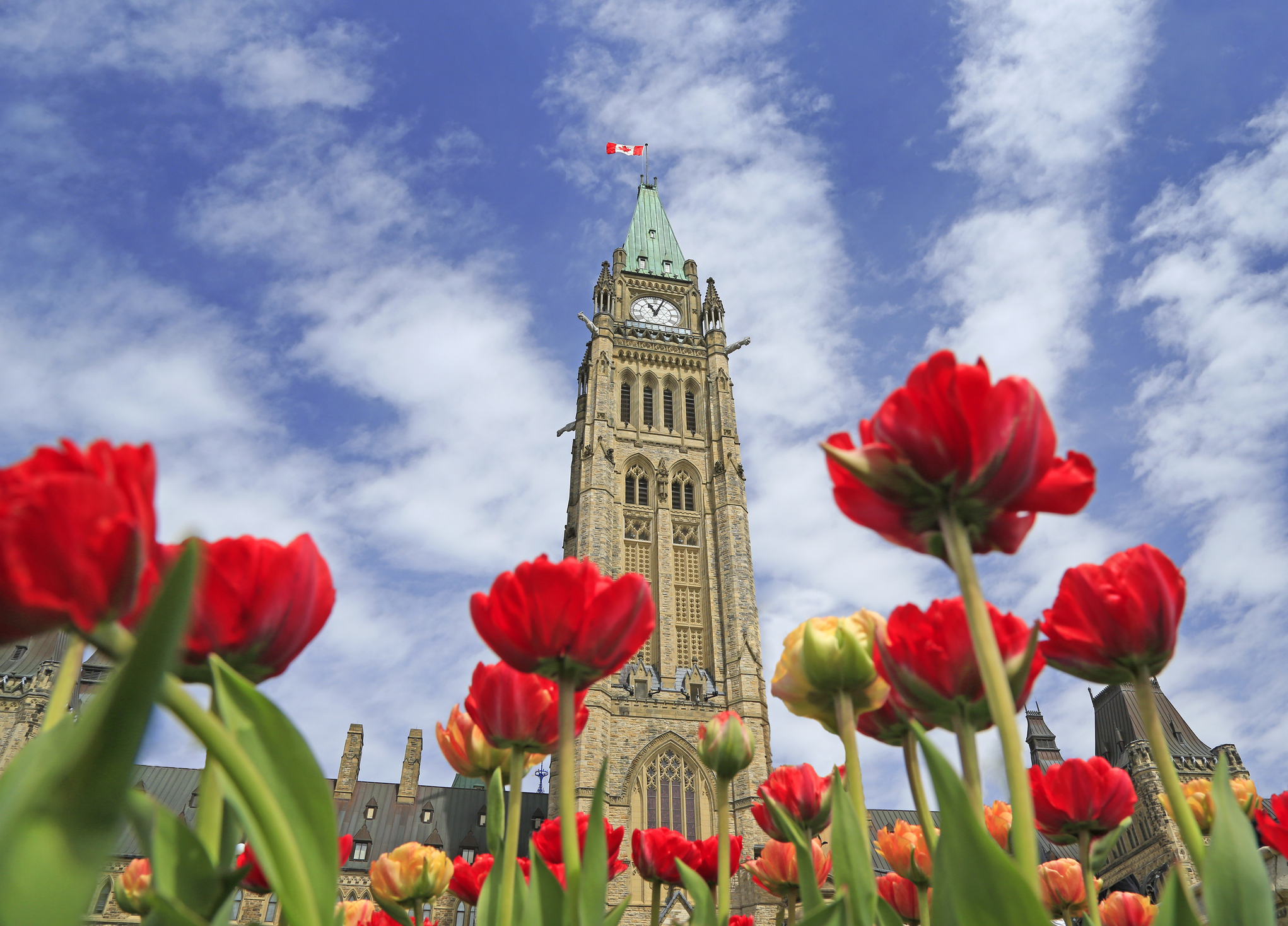 federal budget 2024 delivered on Parliament Hill in Ottawa